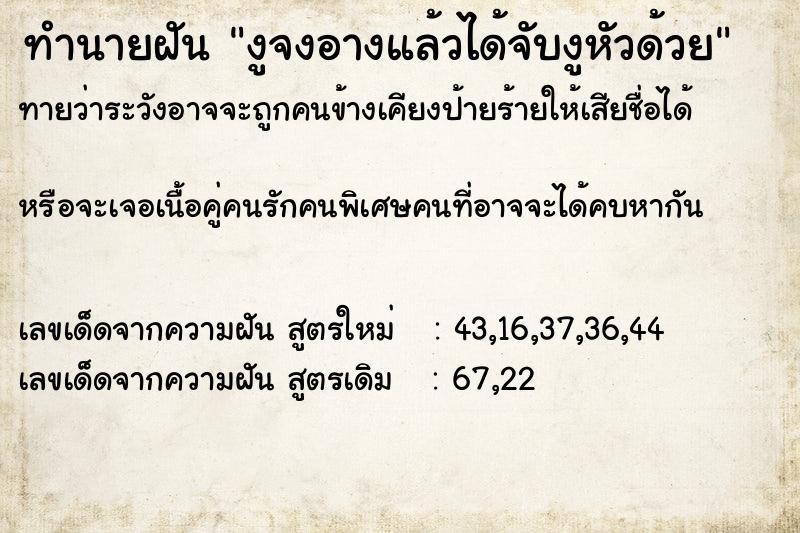 ทำนายฝันทำนายฝันงูจงอางแล้วได้จับงูหัวด้วย