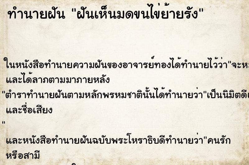 ทำนายฝันทำนายฝันฝันเห็นมดขนไข่ย้ายรัง
