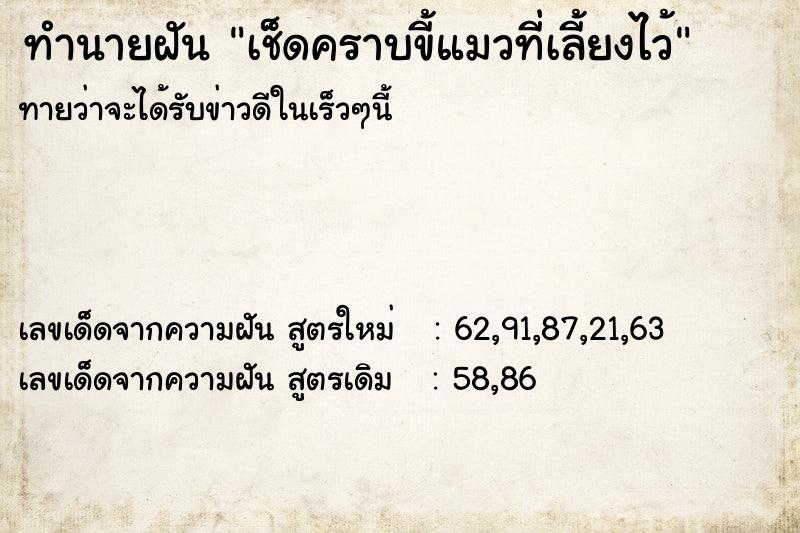 ทำนายฝัน เช็ดคราบขี้แมวที่เลี้ยงไว้ ทำนายฝัน เช็ดคราบขี้แมวที่เลี้ยงไว้