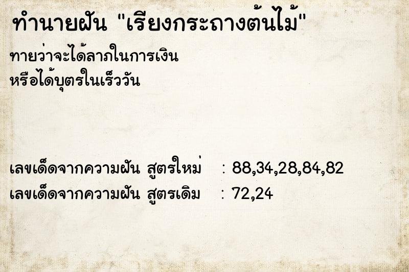 ทำนายฝันทำนายฝันเรียงกระถางต้นไม้