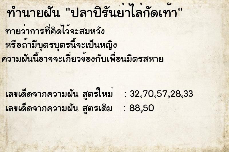 ทำนายฝันปลาปิรันย่าไล่กัดเท้า ทำนายฝันทำนายฝันปลาปิรันย่าไล่กัดเท้า