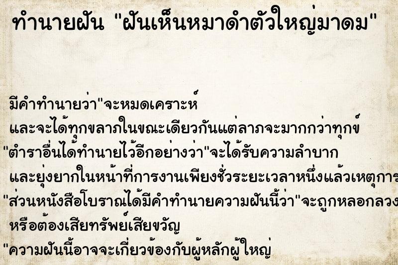 ทำนายฝันฝันเห็นหมาดำตัวใหญ่มาดม ทำนายฝันทำนายฝันฝันเห็นหมาดำตัวใหญ่มาดม