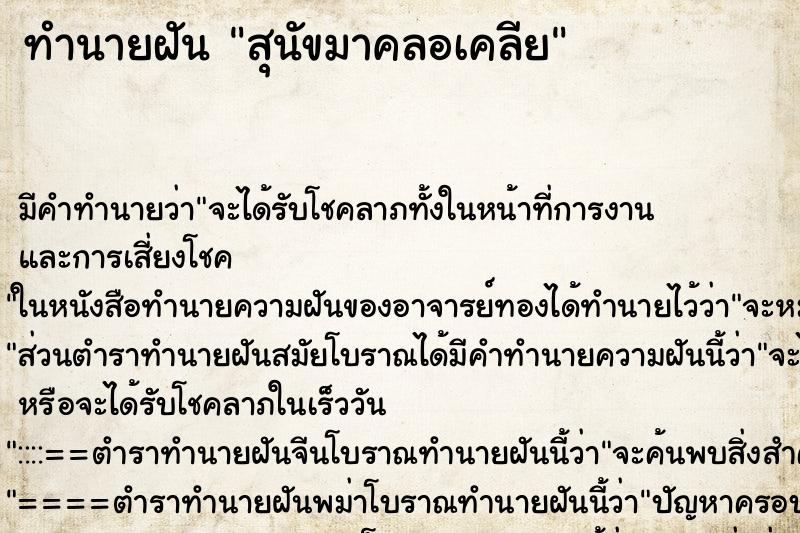 ทำนายฝัน สุนัขมาคลอเคลีย ตำราโบราณ แม่นที่สุดในโลก