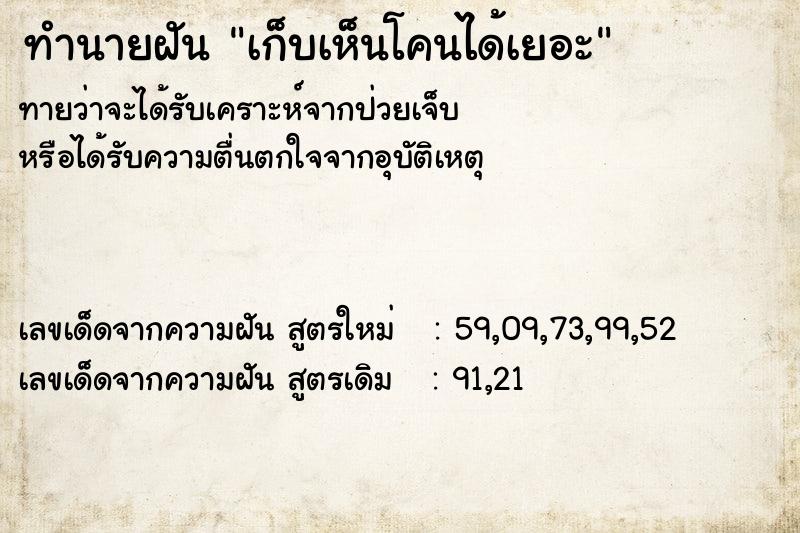 ทำนายฝันทำนายฝันเก็บเห็นโคนได้เยอะ