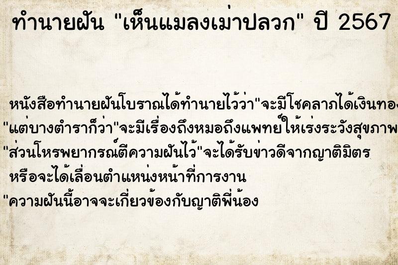 ทำนายฝันทำนายฝันเห็นแมลงเม่าปลวก
