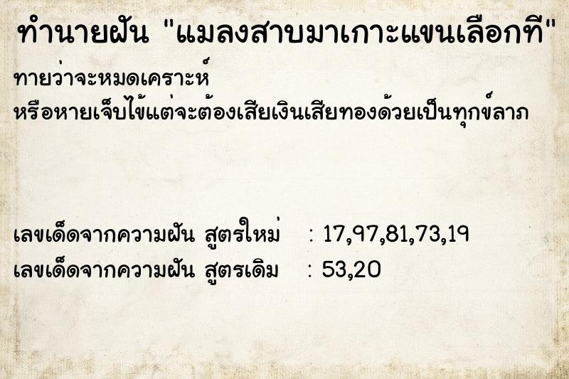 ทำนายฝัน แมลงสาบมาเกาะแขนเลือกที ทำนายฝัน แมลงสาบมาเกาะแขนเลือกที
