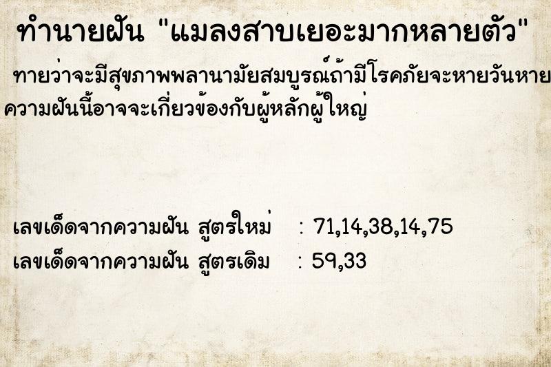 ทำนายฝัน แมลงสาบเยอะมากหลายตัว ทำนายฝัน แมลงสาบเยอะมากหลายตัว