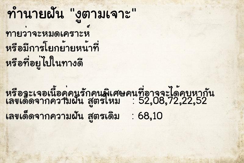 ทำนายฝันทำนายฝันงูตามเจาะ