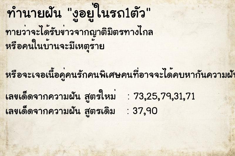 ทำนายฝันงูอยู่ในรถ1ตัว ทำนายฝันทำนายฝันงูอยู่ในรถ1ตัว