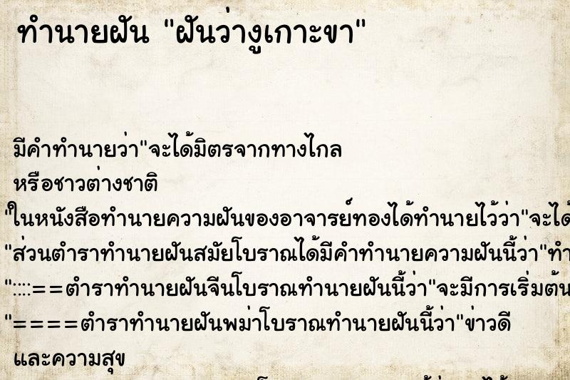 ทำนายฝัน ฝันว่างูเกาะขา ทำนายฝัน ฝันว่างูเกาะขา
