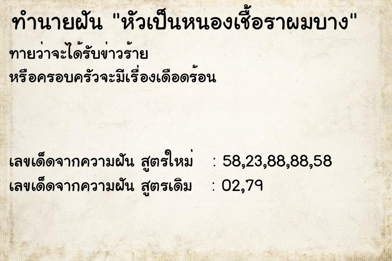 ทำนายฝันทำนายฝันหัวเป็นหนองเชื้อราผมบาง