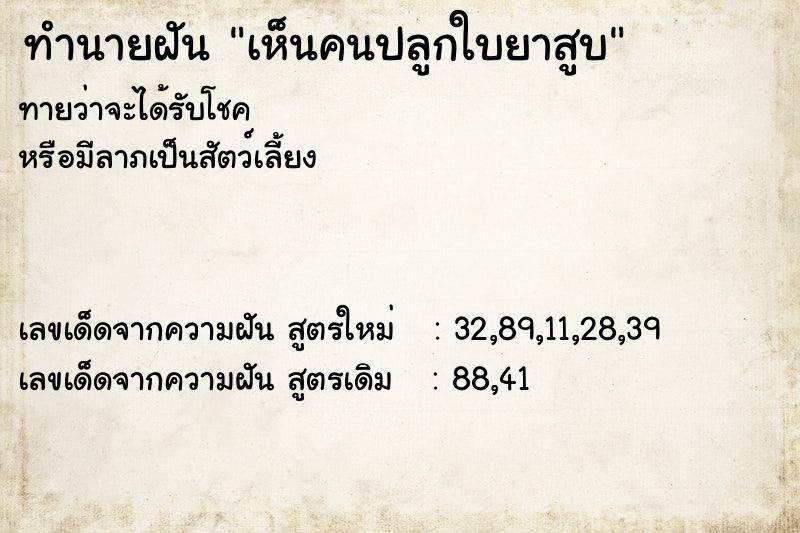 ทำนายฝัน เห็นคนปลูกใบยาสูบ ทำนายฝัน เห็นคนปลูกใบยาสูบ