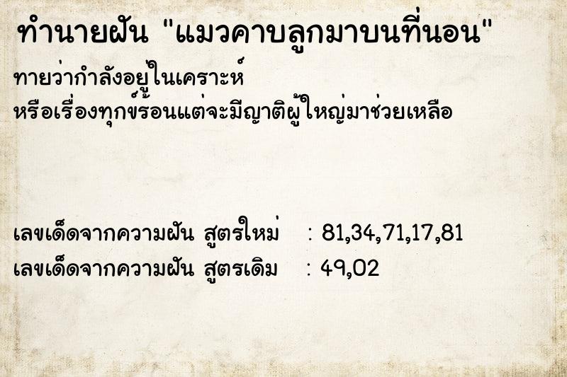 ทำนายฝันทำนายฝันแมวคาบลูกมาบนที่นอน