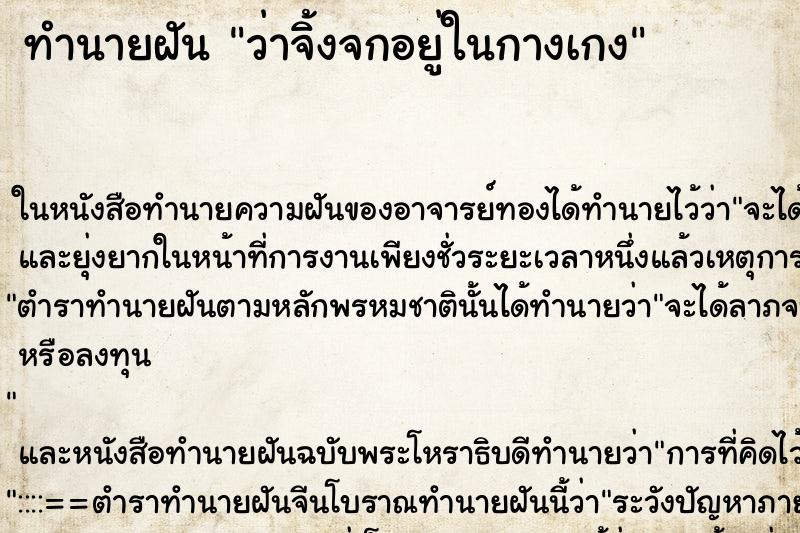 ทำนายฝันว่าจิ้งจกอยู่ในกางเกง ทำนายฝันทำนายฝันว่าจิ้งจกอยู่ในกางเกง