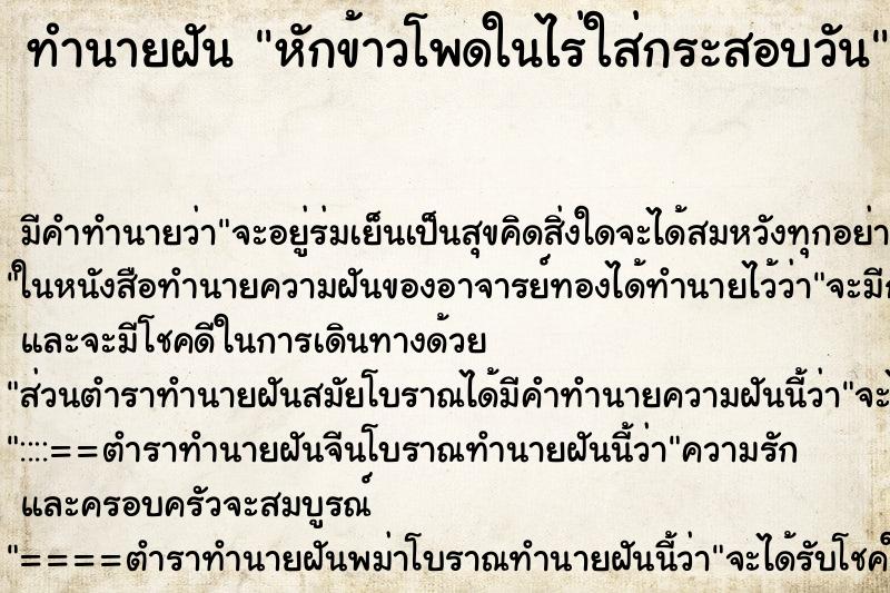 ทำนายฝันทำนายฝันหักข้าวโพดในไร่ใส่กระสอบวัน