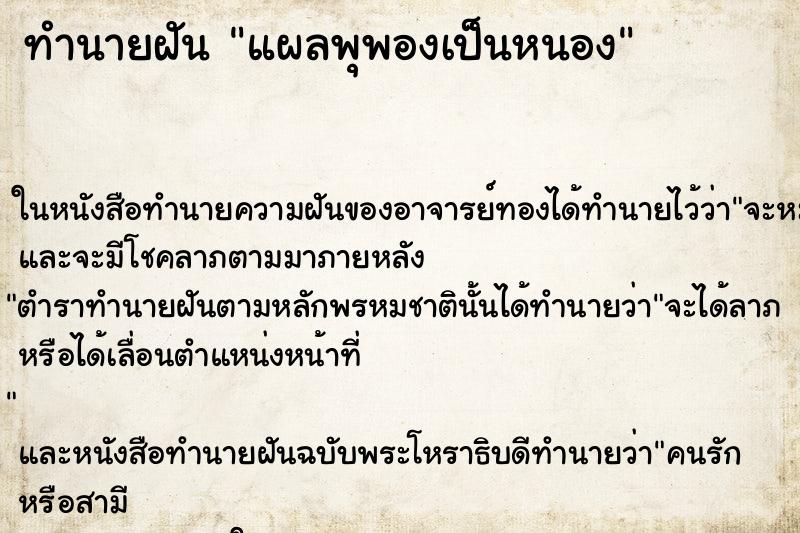 ทำนายฝันแผลพุพองเป็นหนอง ทำนายฝันทำนายฝันแผลพุพองเป็นหนอง