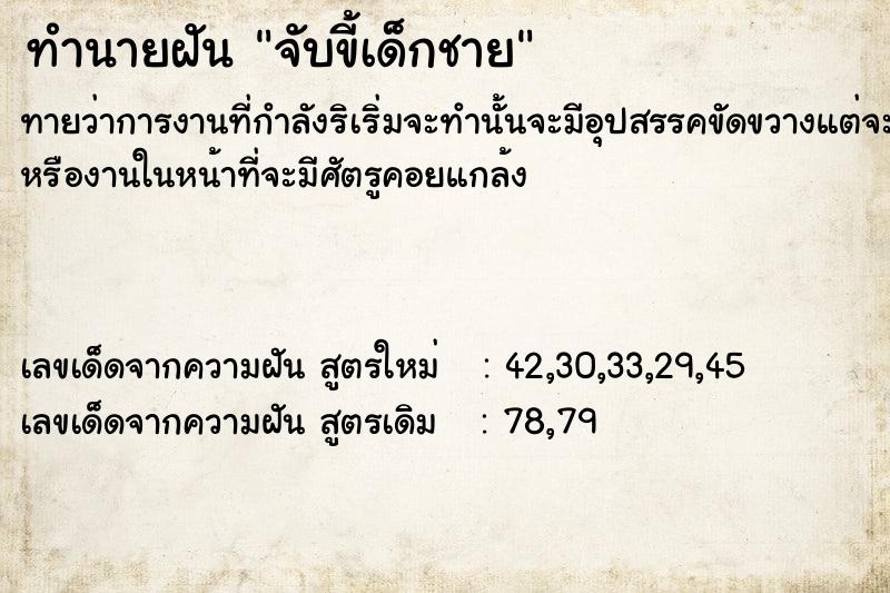 ทำนายฝัน จับขี้เด็กชาย