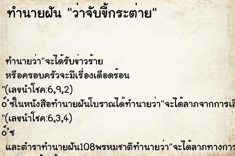 ทำนายฝัน ว่าจับขี้กระต่าย ทำนายฝัน ว่าจับขี้กระต่าย