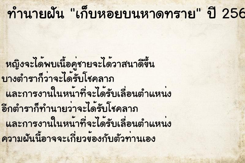 ทำนายฝันเก็บหอยบนหาดทราย ทำนายฝันทำนายฝันเก็บหอยบนหาดทราย