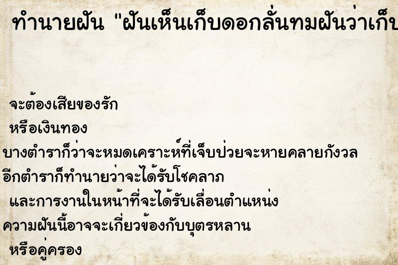 ทำนายฝันฝันเห็นเก็บดอกลั่นทมฝันว่าเก็บดอกลั่นทม ทำนายฝันทำนายฝันฝันเห็นเก็บดอกลั่นทมฝันว่าเก็บดอกลั่นทม