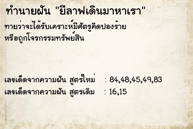 ทำนายฝันยีลาฟเดินมาหาเรา ทำนายฝันทำนายฝันยีลาฟเดินมาหาเรา