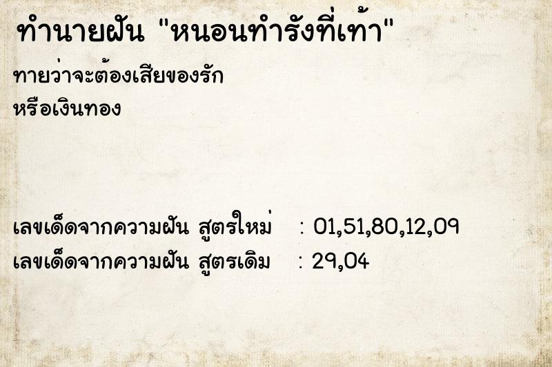 ทำนายฝันหนอนทำรังที่เท้า ทำนายฝันทำนายฝันหนอนทำรังที่เท้า