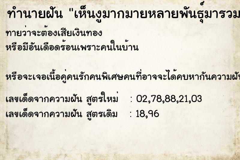 ทำนายฝันเห็นงูมากมายหลายพันธุ์มารวมกัน ทำนายฝันทำนายฝันเห็นงูมากมายหลายพันธุ์มารวมกัน