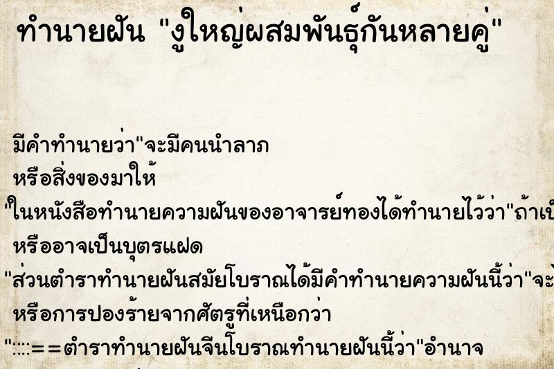 ทำนายฝันงูใหญ่ผสมพันธุ์กันหลายคู่ ทำนายฝันทำนายฝันงูใหญ่ผสมพันธุ์กันหลายคู่