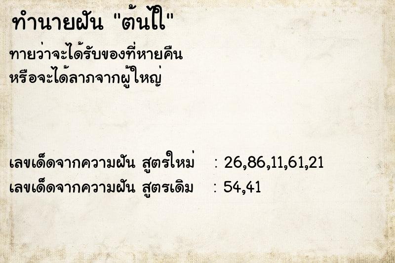 ทำนายฝันต้นไใ ทำนายฝันทำนายฝันต้นไใ