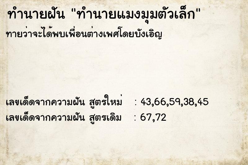 ทำนายฝันทำนายแมงมุมตัวเล็ก ทำนายฝันทำนายฝันทำนายแมงมุมตัวเล็ก