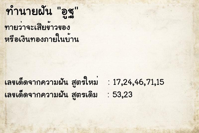 ทำนายฝันทำนายฝันอูฐ