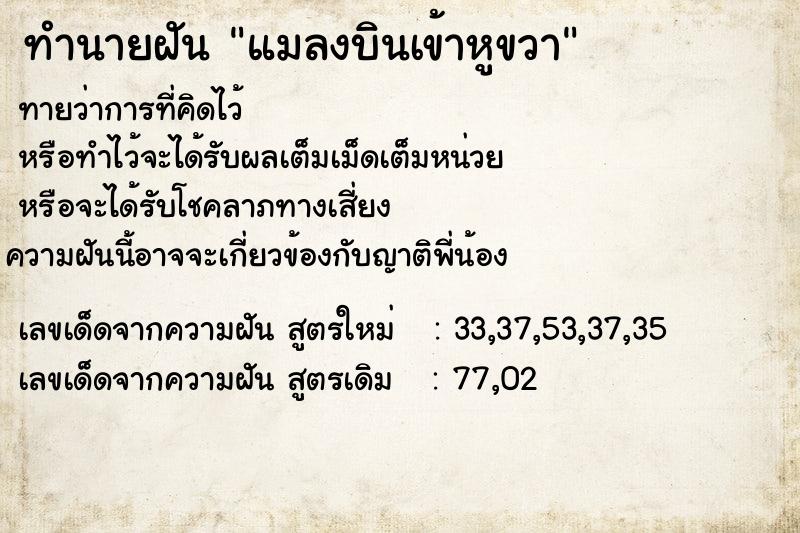 ทำนายฝัน แมลงบินเข้าหูขวา