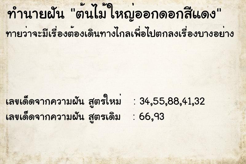 ทำนายฝันต้นไม้ใหญ่ออกดอกสีแดง ทำนายฝันทำนายฝันต้นไม้ใหญ่ออกดอกสีแดง