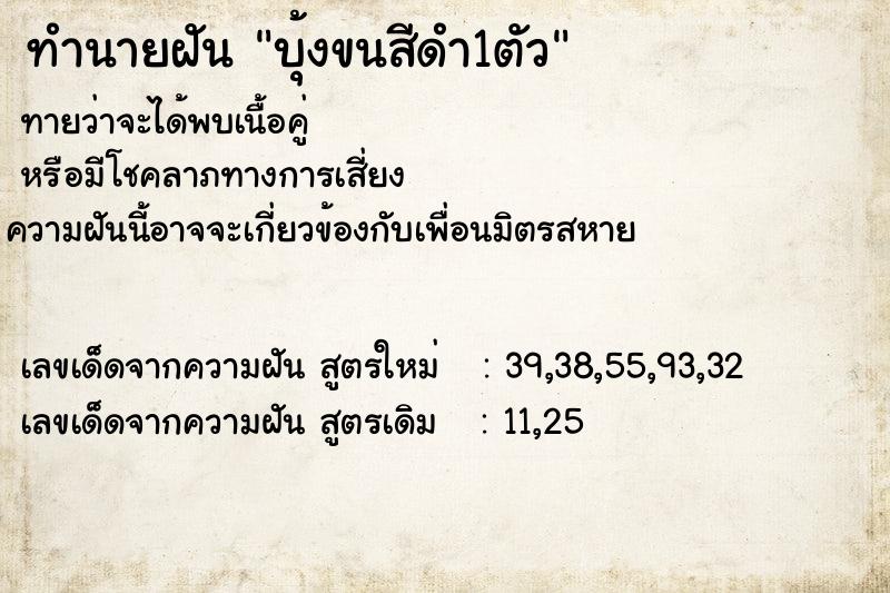 ทำนายฝันบุ้งขนสีดำ1ตัว ทำนายฝันทำนายฝันบุ้งขนสีดำ1ตัว