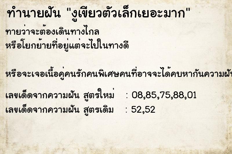 ทำนายฝันงูเขียวตัวเล็กเยอะมาก ทำนายฝันทำนายฝันงูเขียวตัวเล็กเยอะมาก