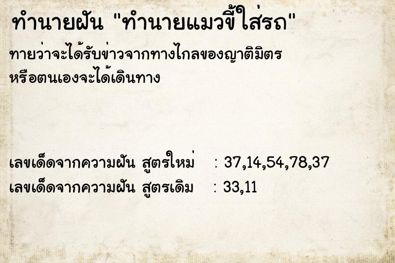 ทำนายฝันทำนายแมวขี้ใส่รถ ทำนายฝันทำนายฝันทำนายแมวขี้ใส่รถ