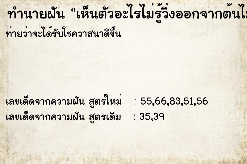 ทำนายฝันทำนายฝันเห็นตัวอะไรไม่รู้วิ่งออกจากต้นไม้ให่ย