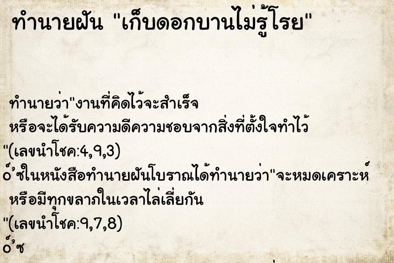 ทำนายฝัน เก็บดอกบานไม่รู้โรย