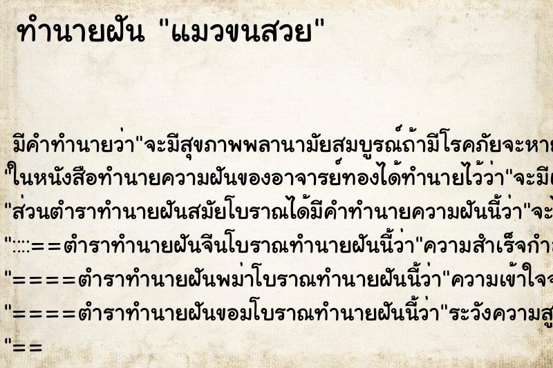 ทำนายฝัน แมวขนสวย ทำนายฝัน แมวขนสวย