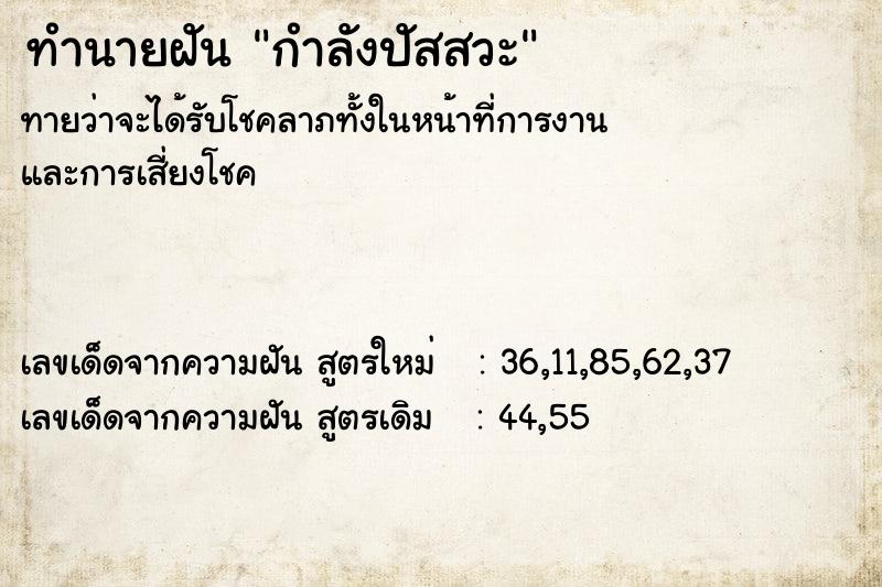 ทำนายฝันกำลังปัสสวะ ทำนายฝันทำนายฝันกำลังปัสสวะ
