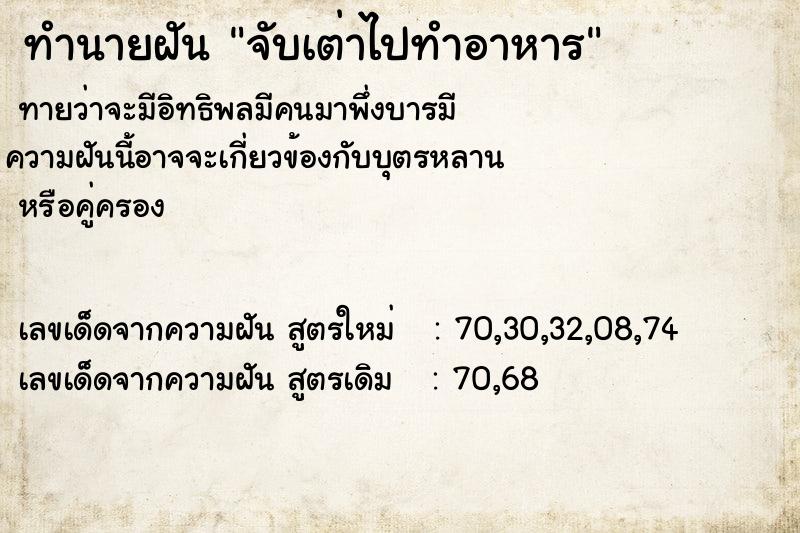 ทำนายฝันจับเต่าไปทำอาหาร ทำนายฝันทำนายฝันจับเต่าไปทำอาหาร