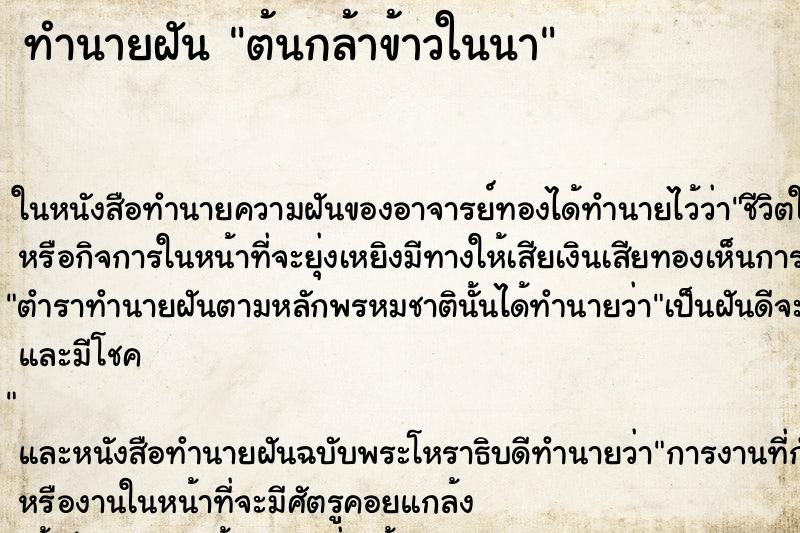 ทำนายฝัน ต้นกล้าข้าวในนา