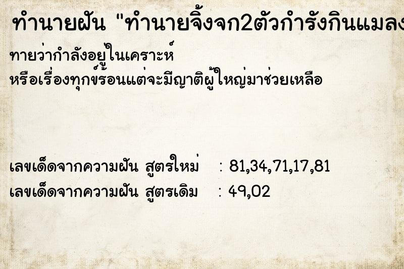 ทำนายฝันทำนายฝันทำนายจิ้งจก2ตัวกำรังกินแมลง