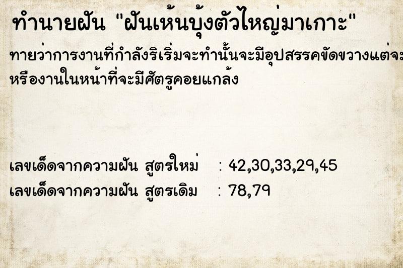 ทำนายฝันฝันเห้นบุ้งตัวไหญ่มาเกาะ ทำนายฝันทำนายฝันฝันเห้นบุ้งตัวไหญ่มาเกาะ