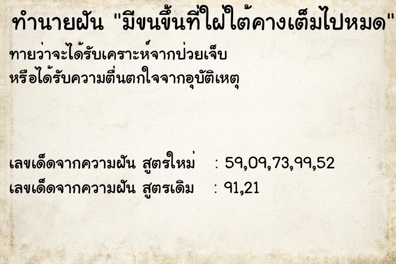 ทำนายฝันทำนายฝันมีขนขึ้นที่ใฝ่ใต้คางเต็มไปหมด