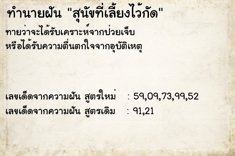 ทำนายฝันทำนายฝันสุนัขที่เลี้ยงไว้กัด