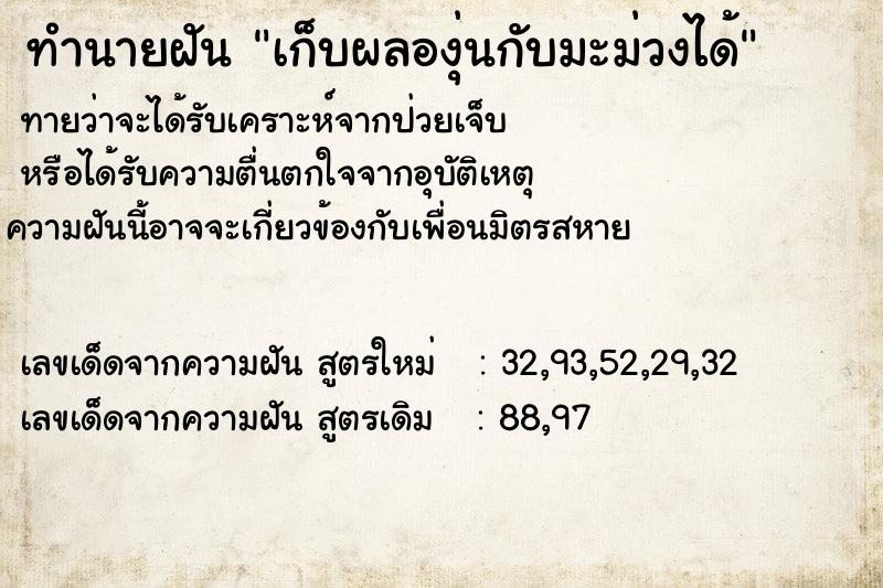 ทำนายฝันเก็บผลองุ่นกับมะม่วงได้ ทำนายฝันทำนายฝันเก็บผลองุ่นกับมะม่วงได้