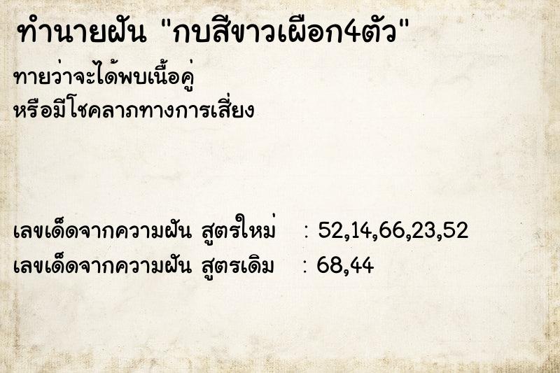 ทำนายฝัน กบสีขาวเผือก4ตัว ทำนายฝัน กบสีขาวเผือก4ตัว