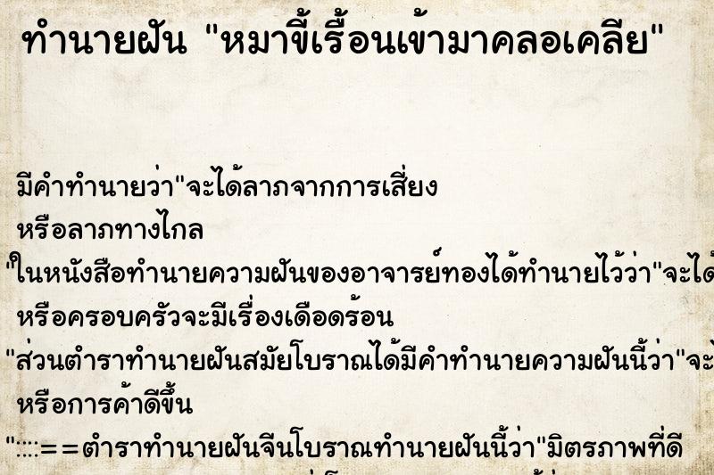 ทำนายฝัน หมาขี้เรื้อนเข้ามาคลอเคลีย ทำนายฝัน หมาขี้เรื้อนเข้ามาคลอเคลีย