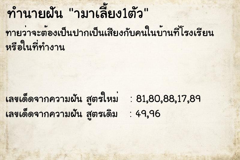 ทำนายฝันามาเลี้ยง1ตัว ทำนายฝันทำนายฝันามาเลี้ยง1ตัว